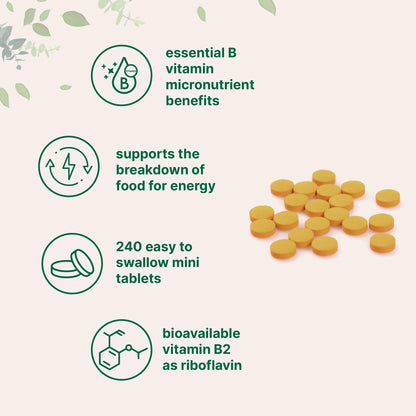 Gluten free non GMO extra strength riboflavin mini tablets size demonstration