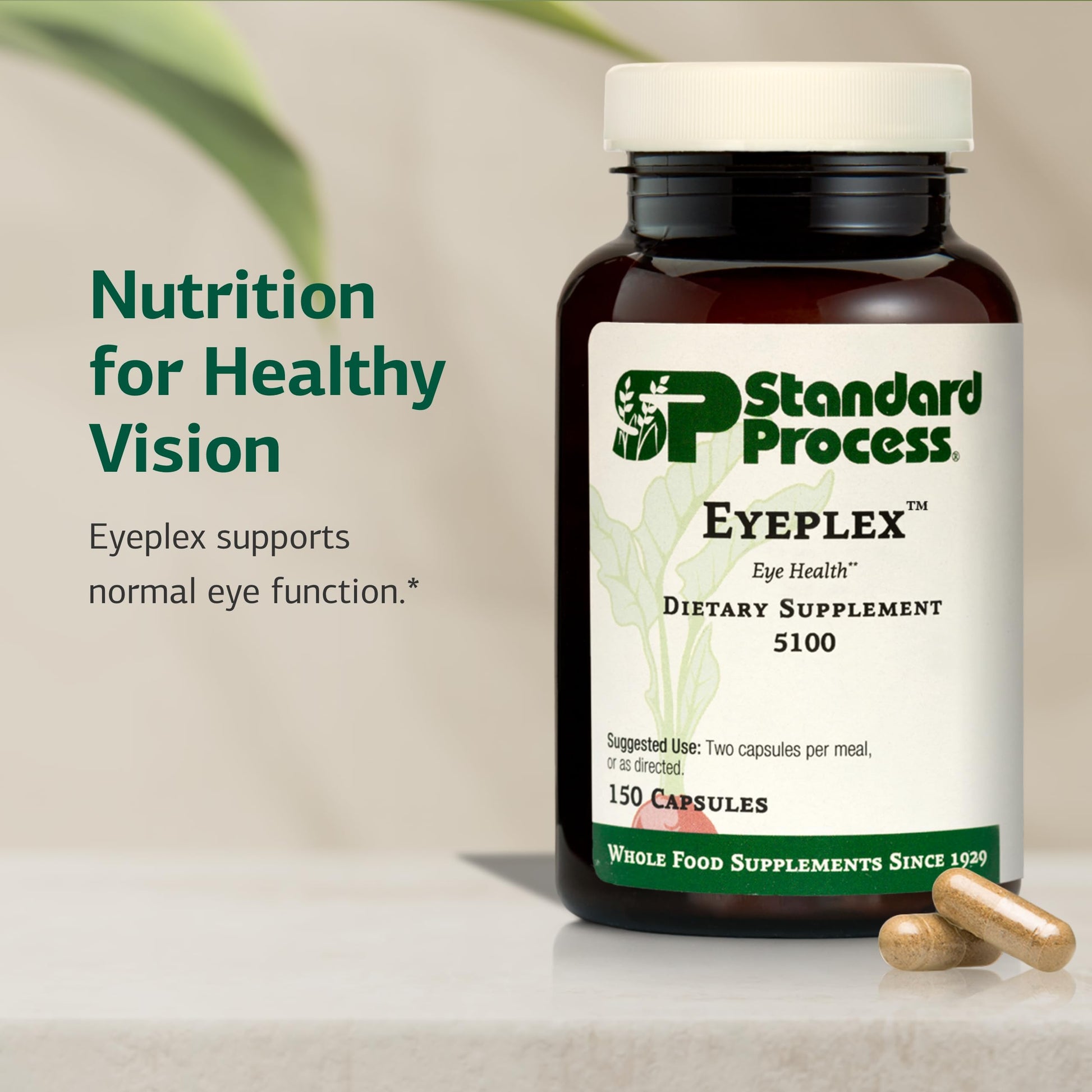 Standard Process Iplex authentic USA imported dietary supplement product packaging