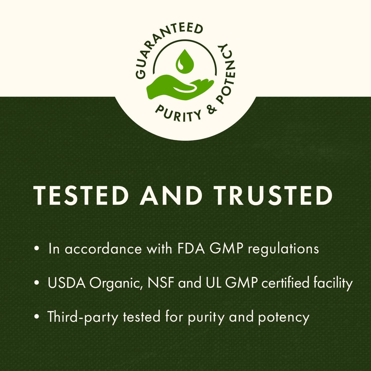 Unflavored active Vitamin B2 supplement bottle showing GMP certification and quality seals