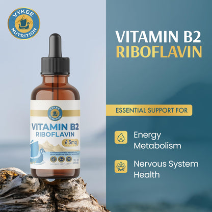 Liquid Vitamin B2 supplement dropper bottle for energy metabolism support.