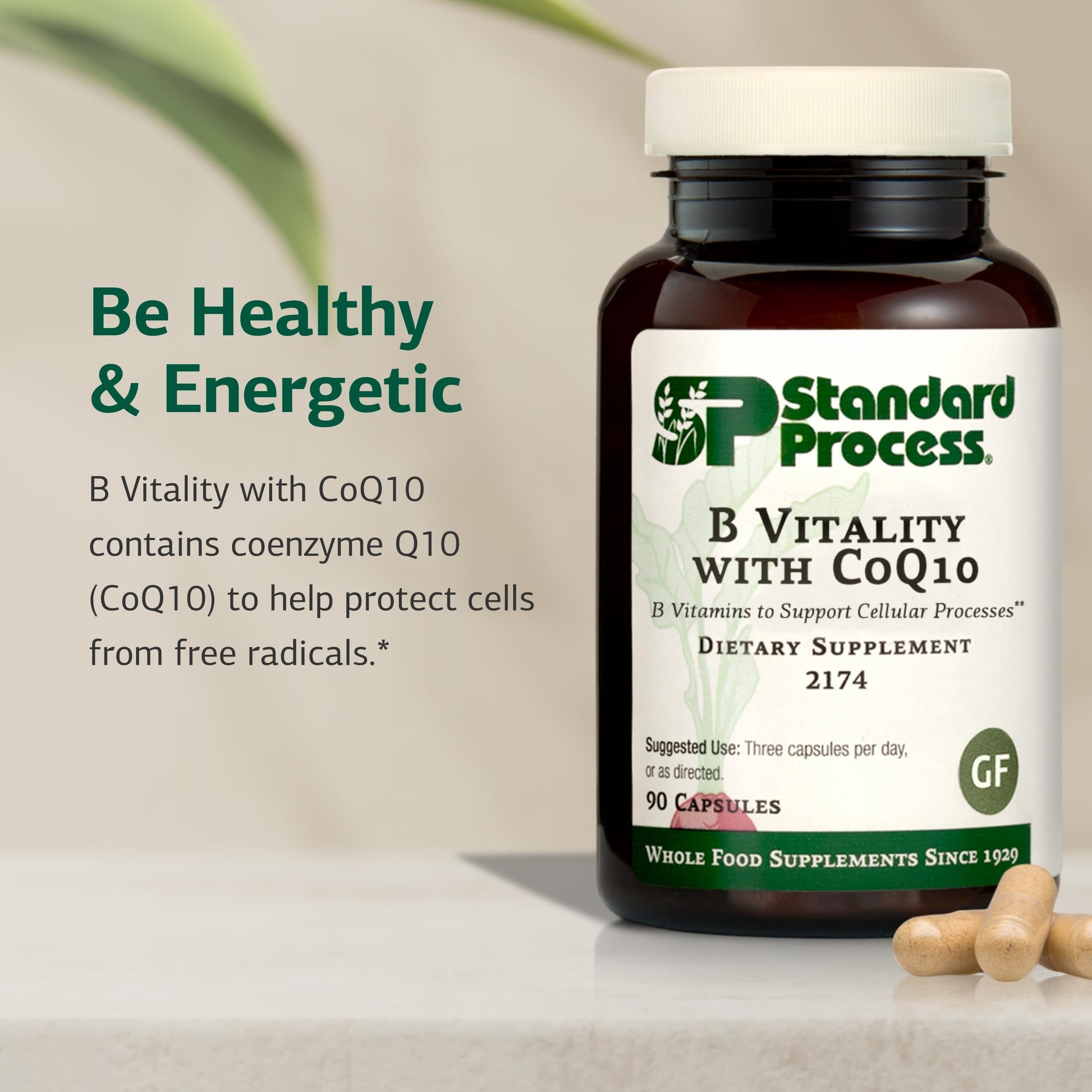 Side angle of Standard Process B Vitality showing vegan and gluten free certification markers on the product packaging.