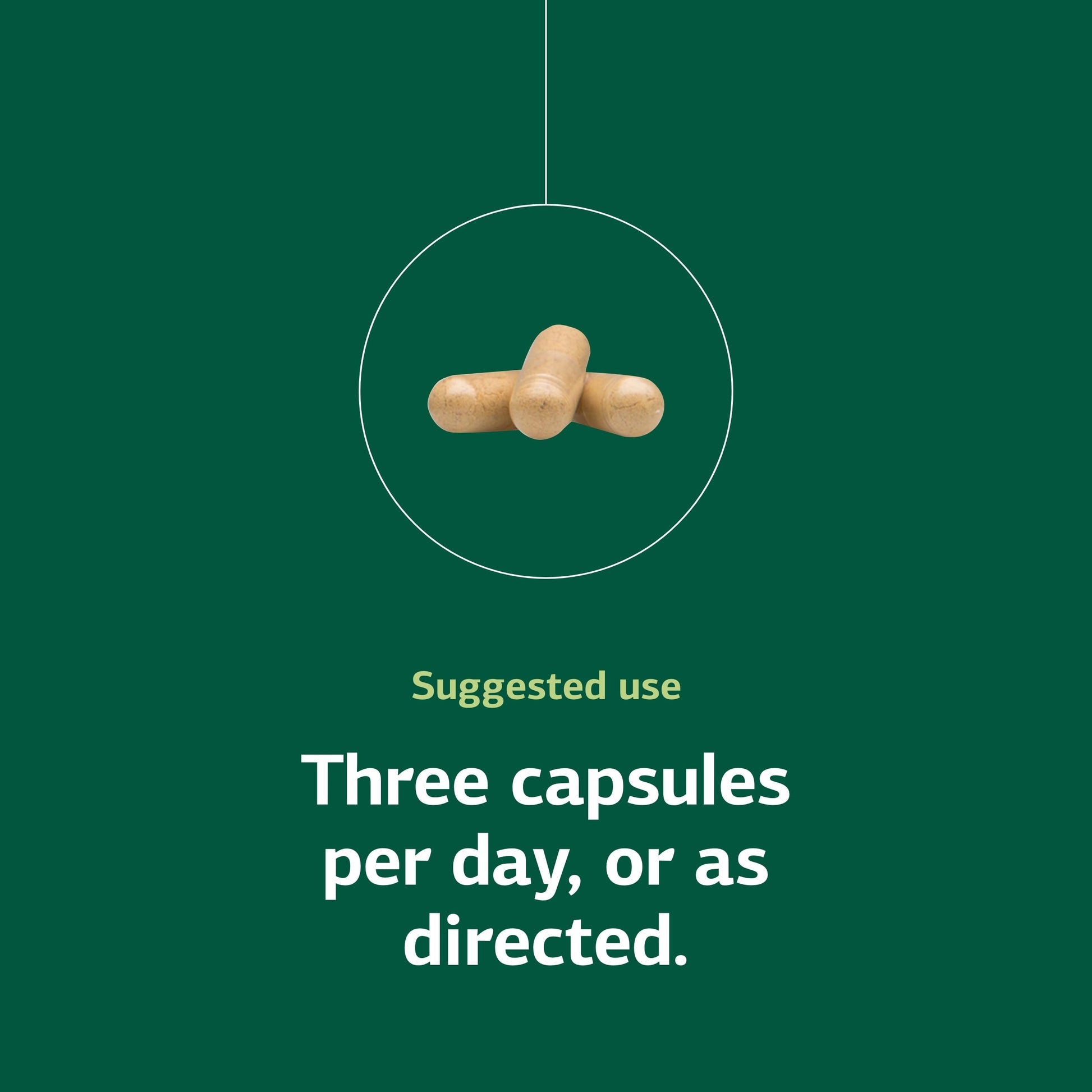 Close up view of the capsule count information and manufacturer details on the Standard Process B Vitality label.