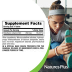 NaturesPlus Vitamin B2 premium gluten free sustained release formula side panel ingredients