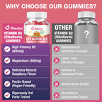 Diaolai high potency Vitamin B2 supplement bottle standing upright showcasing the premium non GMO and pectin based labels.