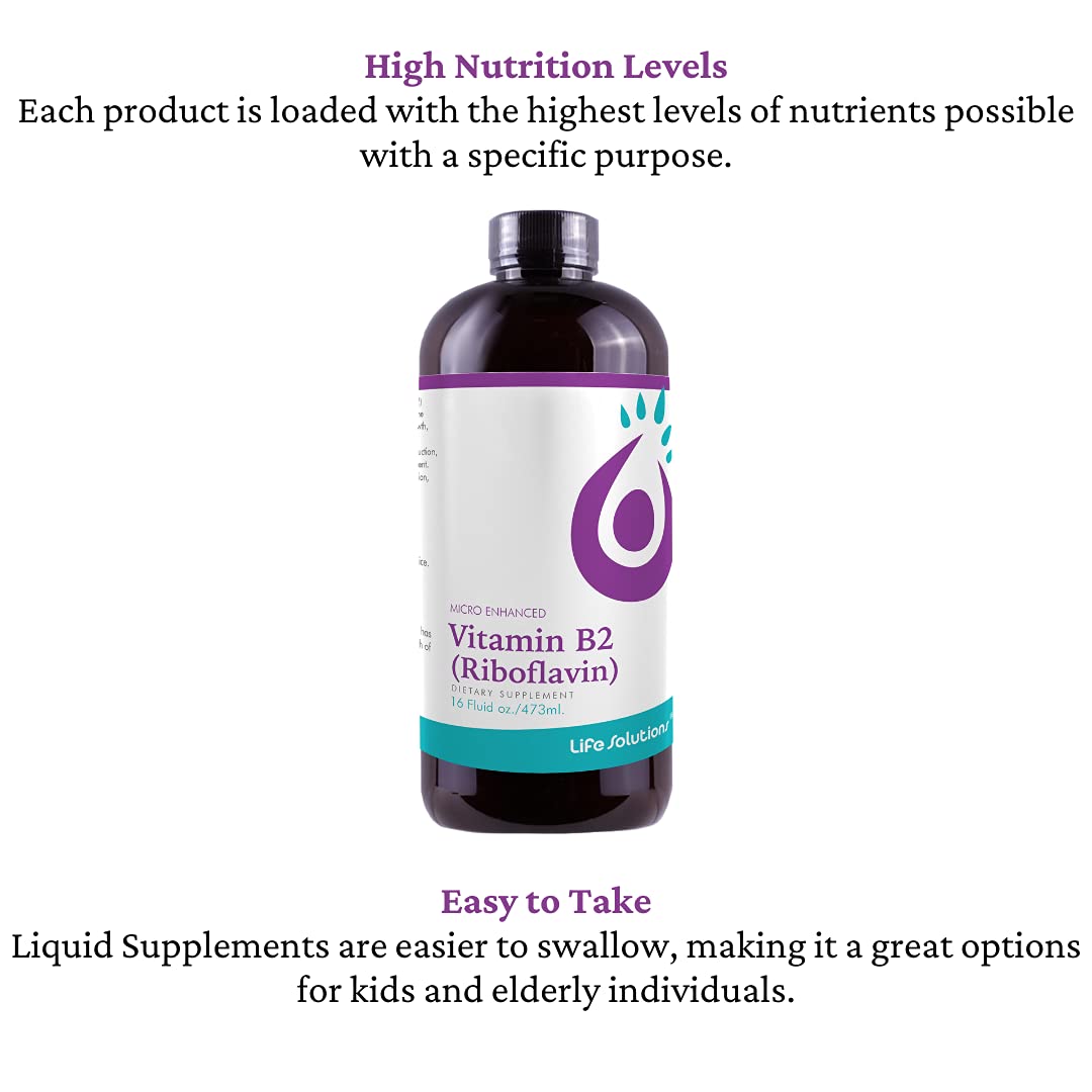 Authentic USA imported Brieofood Vitamin B2 bottle showing allergen free icons