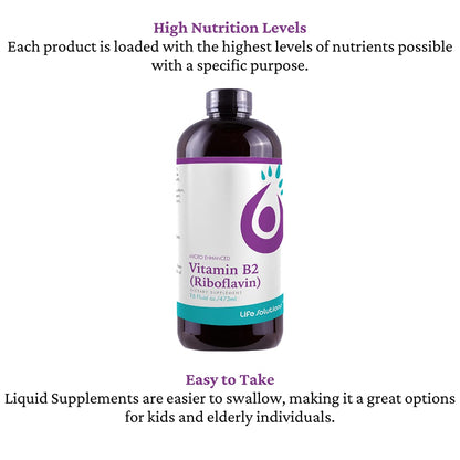 Authentic USA imported Brieofood Vitamin B2 bottle showing allergen free icons