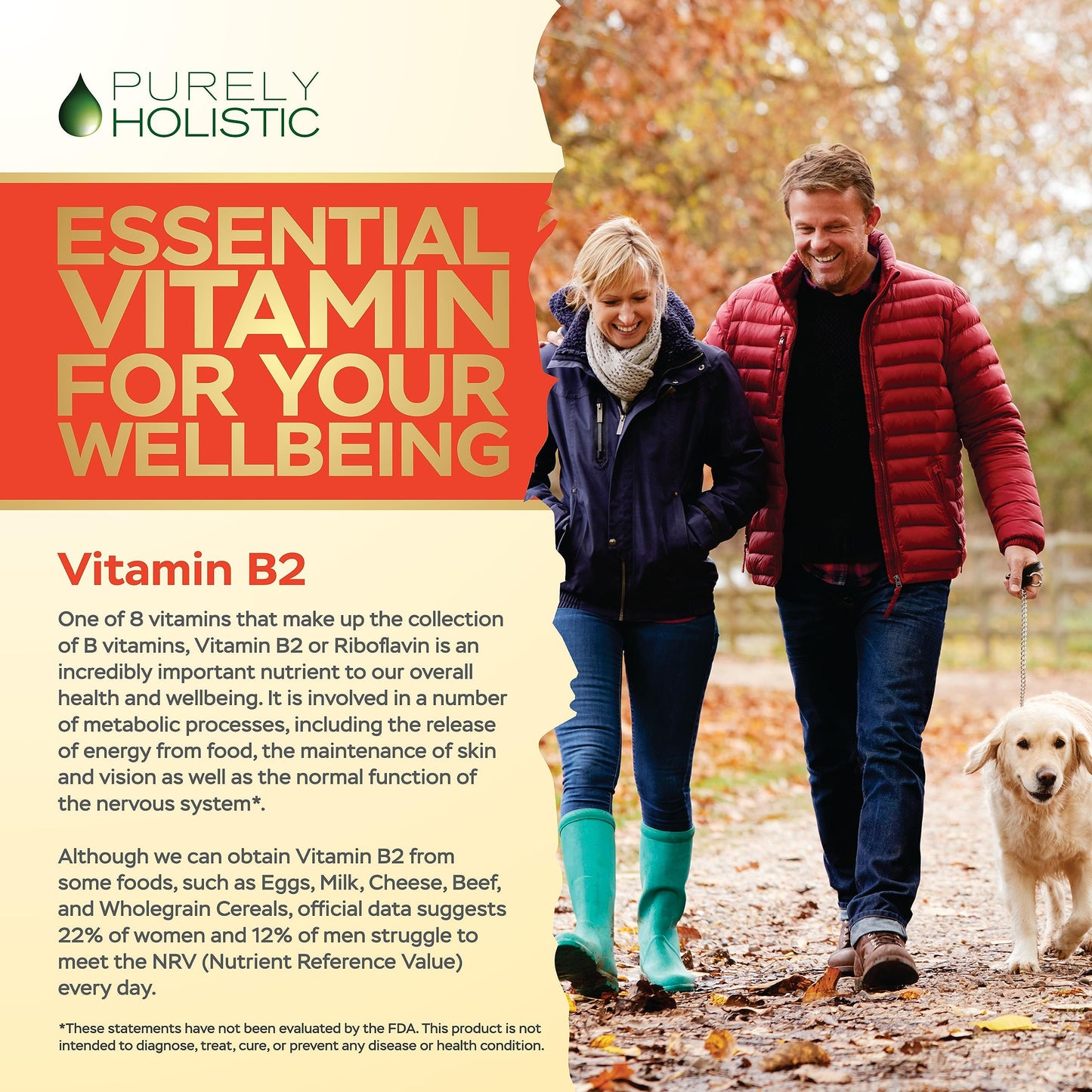 Purely Holistic non GMO gluten free high potency vitamin B2 supplement bottle