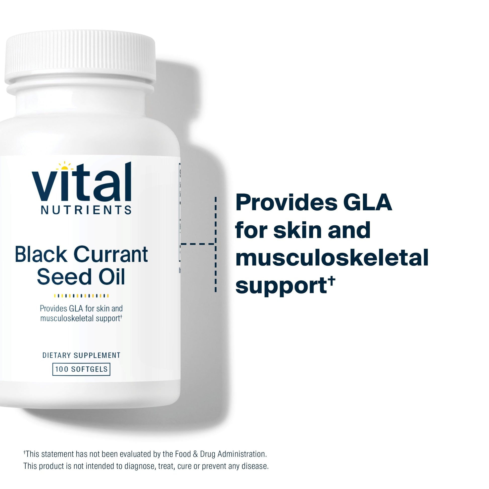 Vital Nutrients Black Currant Seed Oil 100 softgels bottle side view
