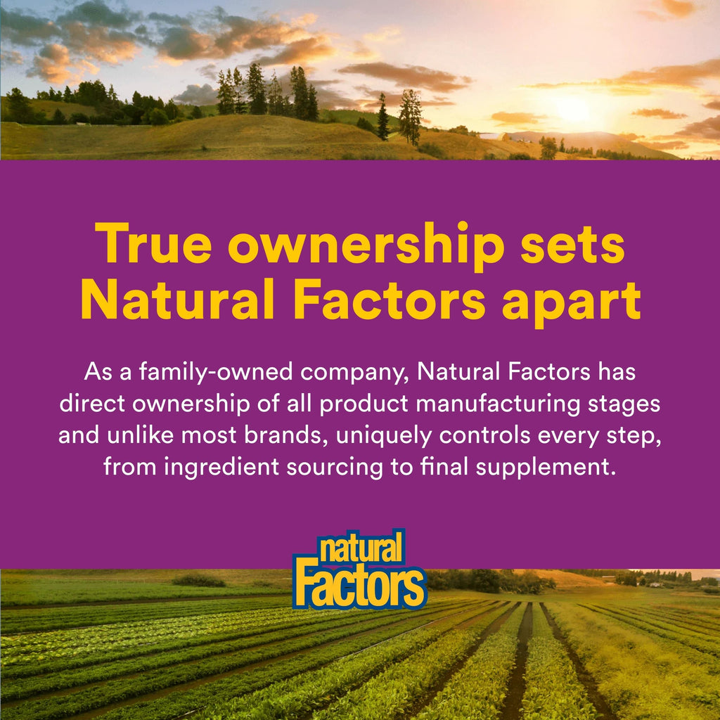Natural Factors Riboflavin 90 tablets package back label outlining directions for use and clean ingredients list