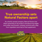 Natural Factors Riboflavin 90 tablets package back label outlining directions for use and clean ingredients list