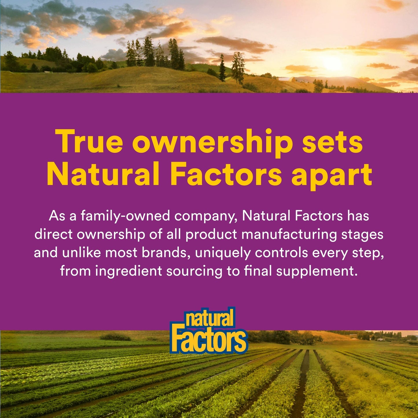 Natural Factors Riboflavin 90 tablets package back label outlining directions for use and clean ingredients list