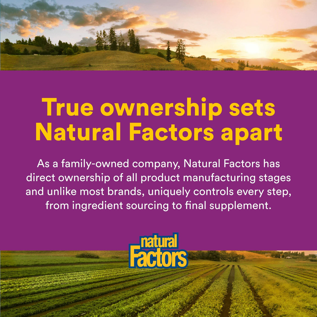 Natural Factors Riboflavin 90 tablets package back label outlining directions for use and clean ingredients list