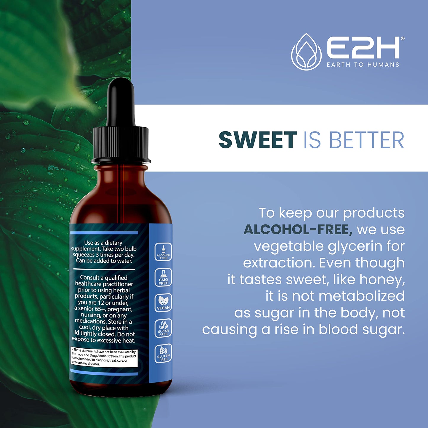 High quality black currant seed oil extract liquid supplement