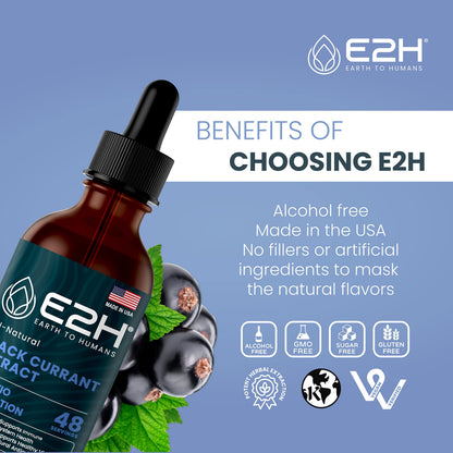 E2H brand black currant extract supplement USA imported