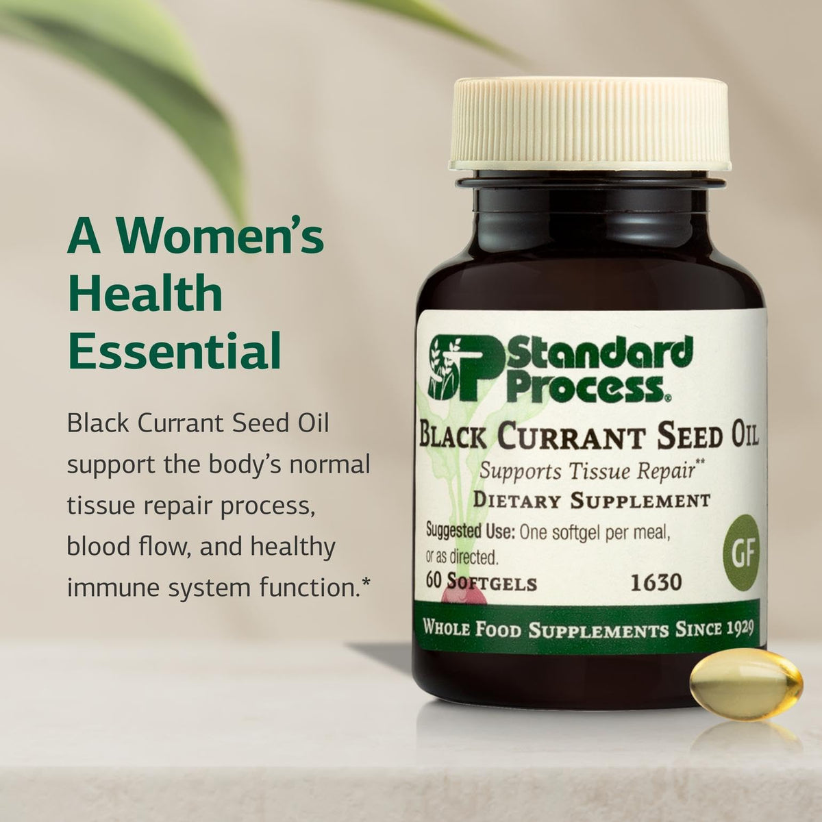 Standard Process Black Currant Seed Oil softgels capsules packaging