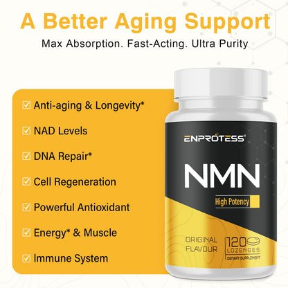 Back of Enprotess NMN bottle showing supplement facts