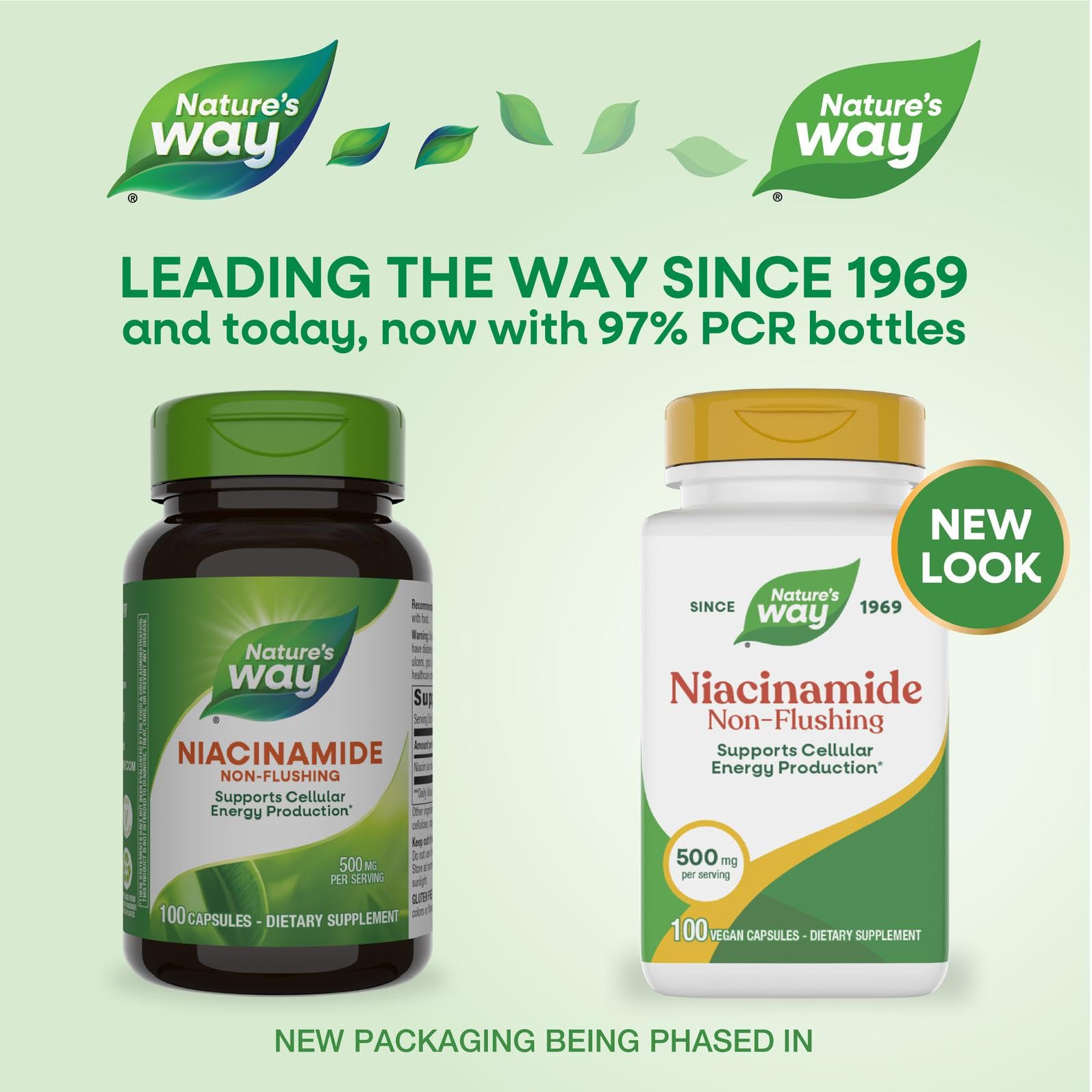 Nature's Way Vitamin B3 non flushing formula side panel with supplement facts and ingredients