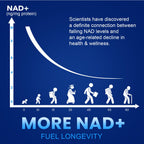 Detailed view of Cfuking Nmn purity and NAD+ booster label