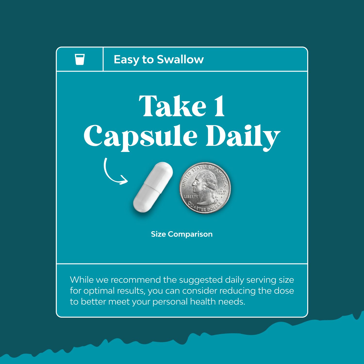Full packaging display of Nature's Craft Vitamin B3 sixty count capsules for daily wellness