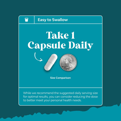 Full packaging display of Nature's Craft Vitamin B3 sixty count capsules for daily wellness