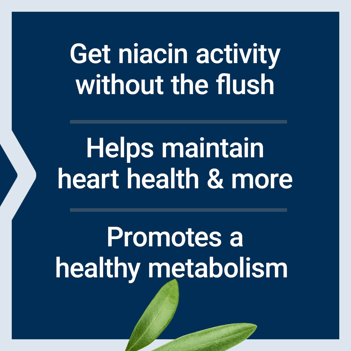 Authentic USA imported Life Extension niacin B3 capsule bottle for cellular energy metabolism