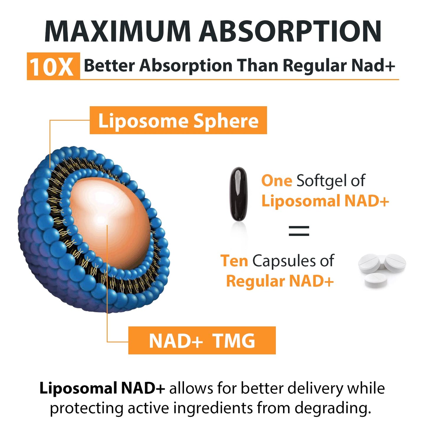 Close up view of the easy to swallow liposomal softgels for healthy aging