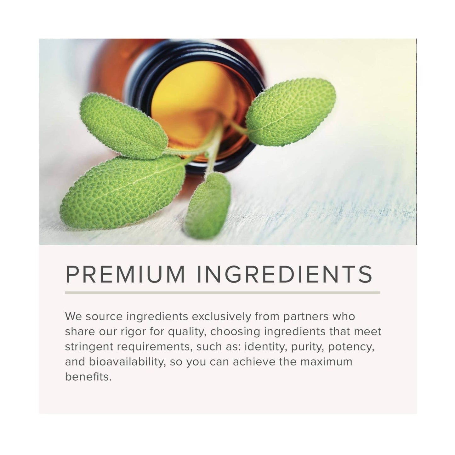 Close up view of the vegan seal and gluten free features on the authentic NusaPure supplement packaging.