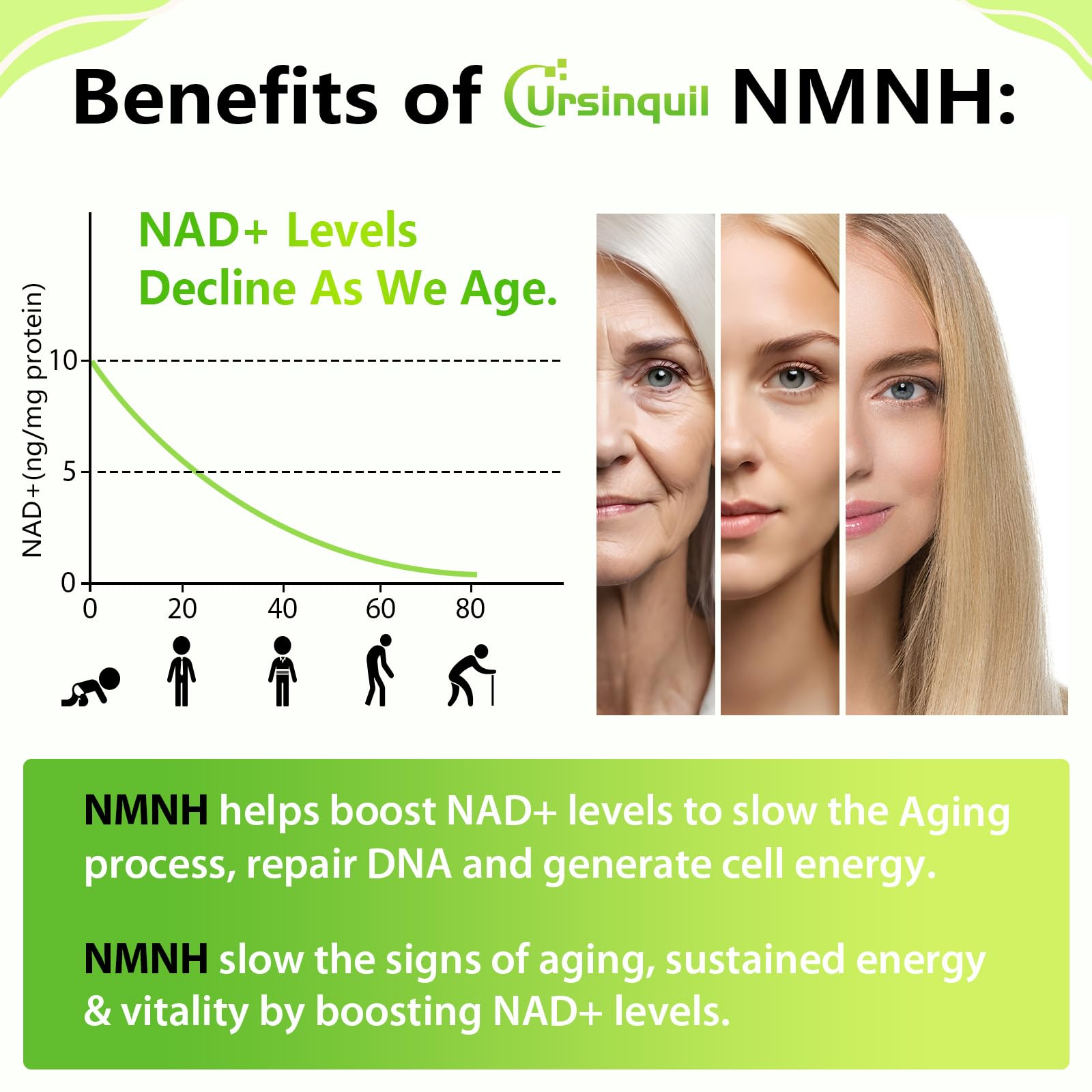 Ursinquil NMNH 120 lozenges side panel displaying nutritional details and cellular energy benefits.