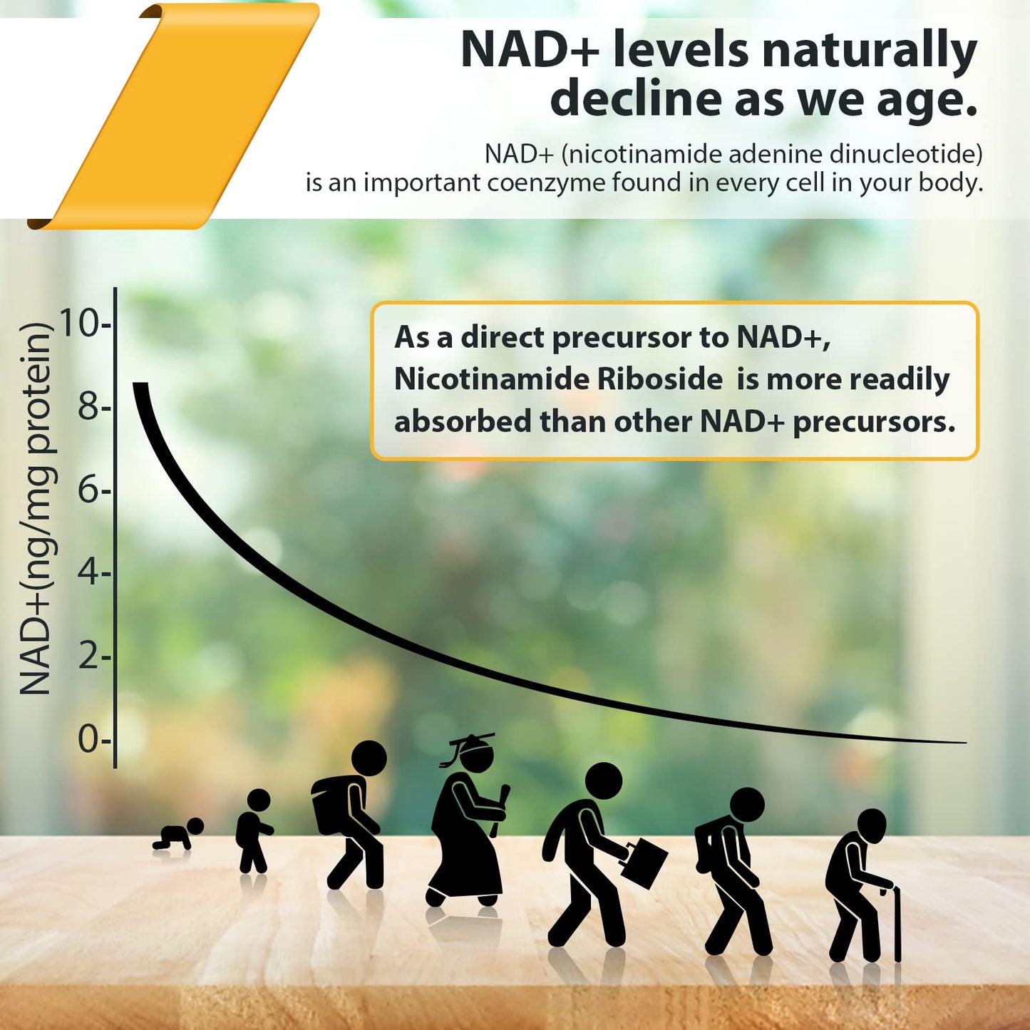 Imported Orgabay Liposomal Nicotinamide Riboside showing active ingredients listing