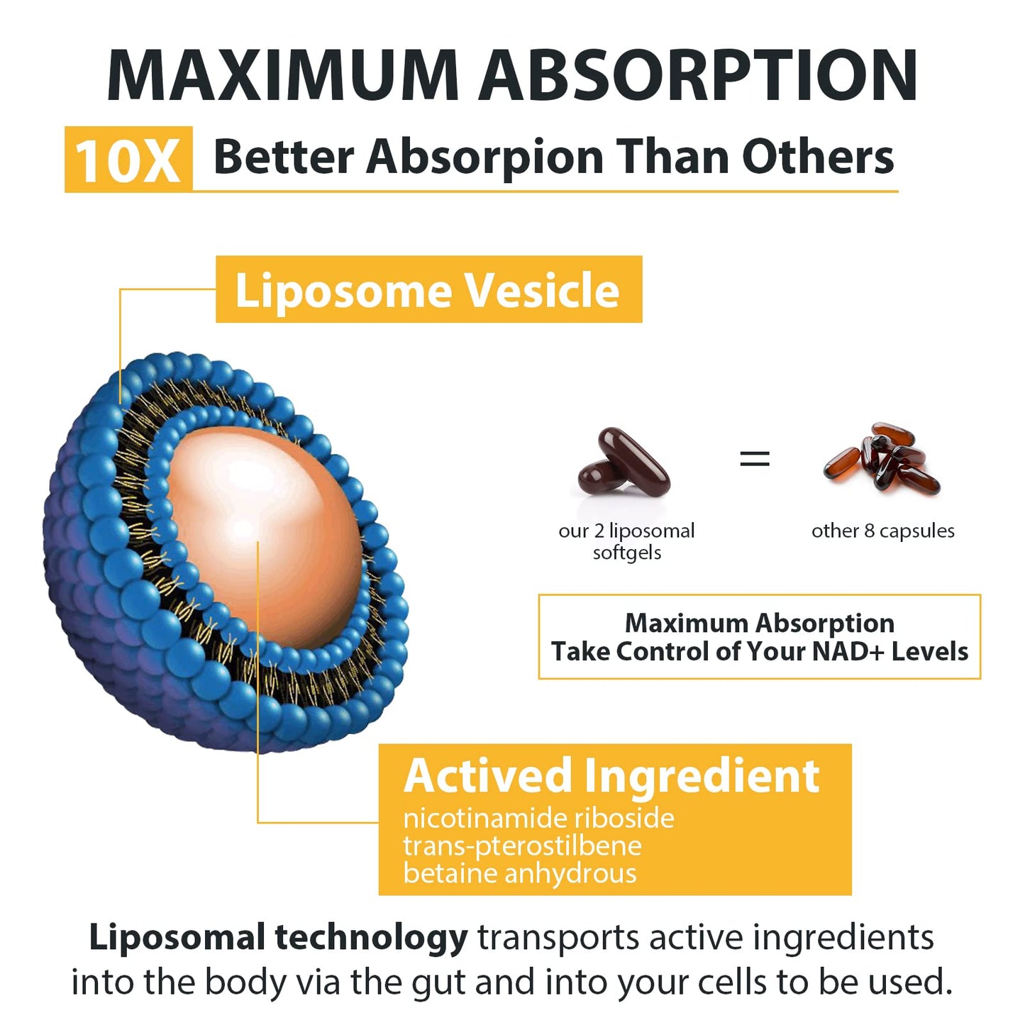 Orgabay 120 count bottle displaying advanced liposomal absorption technology details