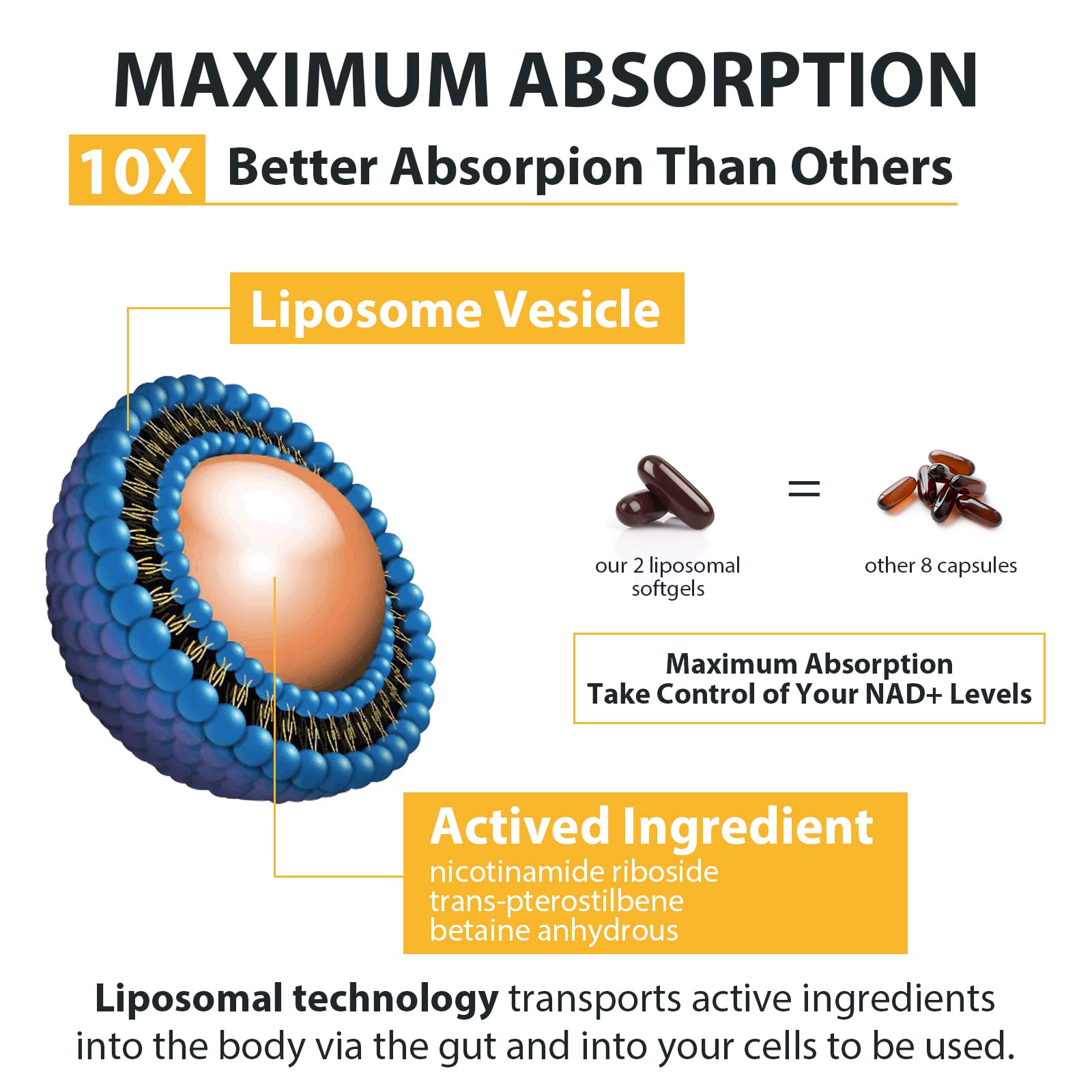 Orgabay 120 count bottle displaying advanced liposomal absorption technology details