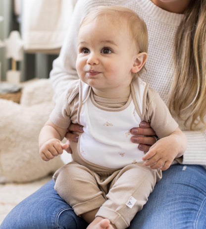 Burt's Bees Baby lap shoulder bib set detail