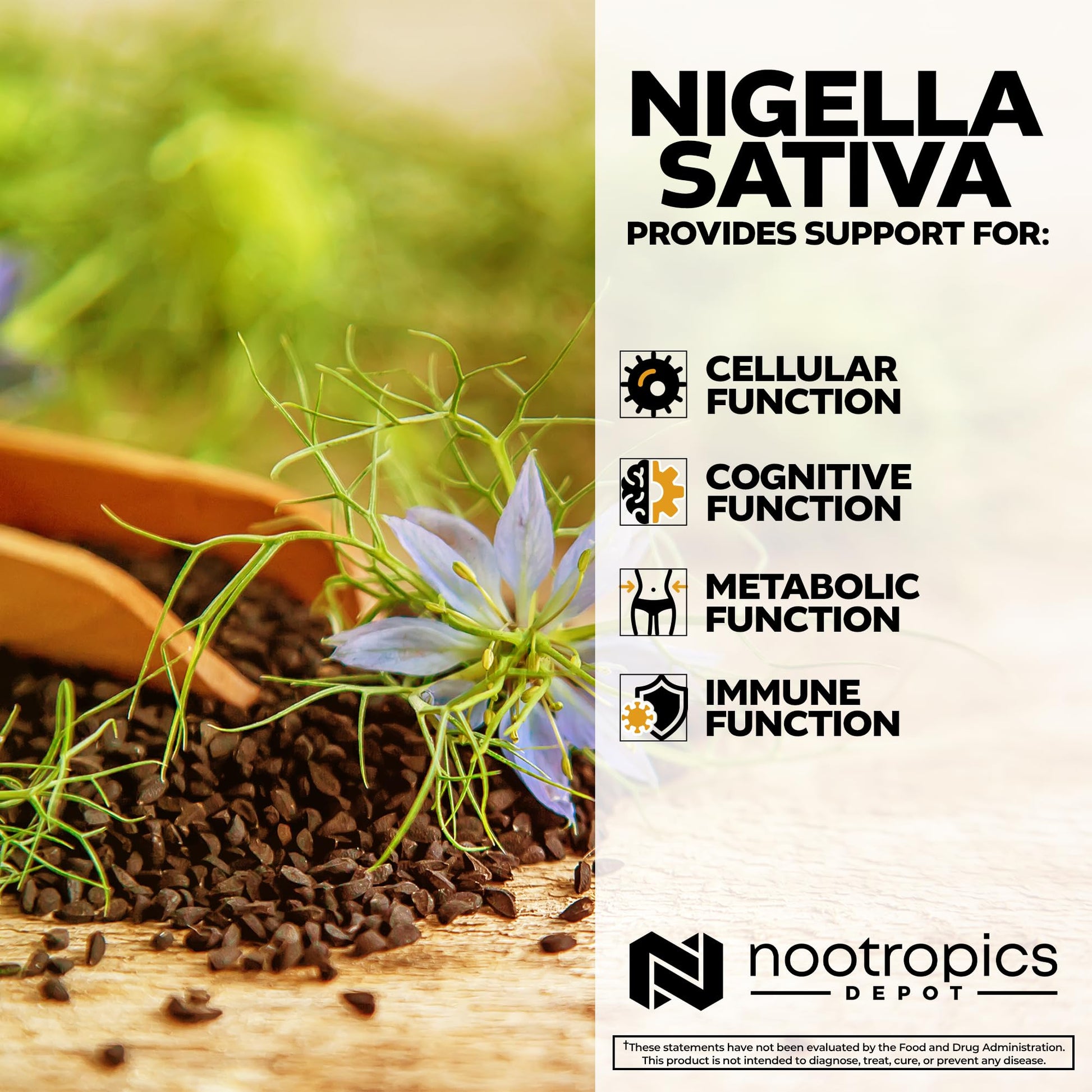 Premium black seed oil extract supplement for memory retention and immune system defense