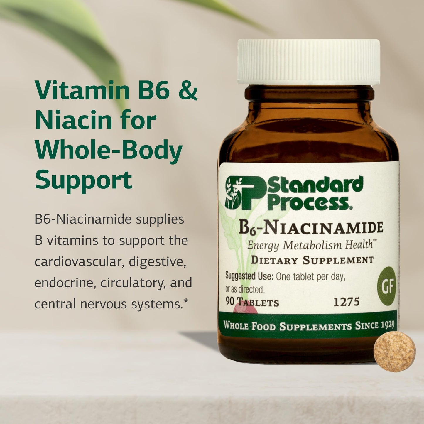 Side view of authentic USA imported Standard Process dietary supplement bottle showing directions for use