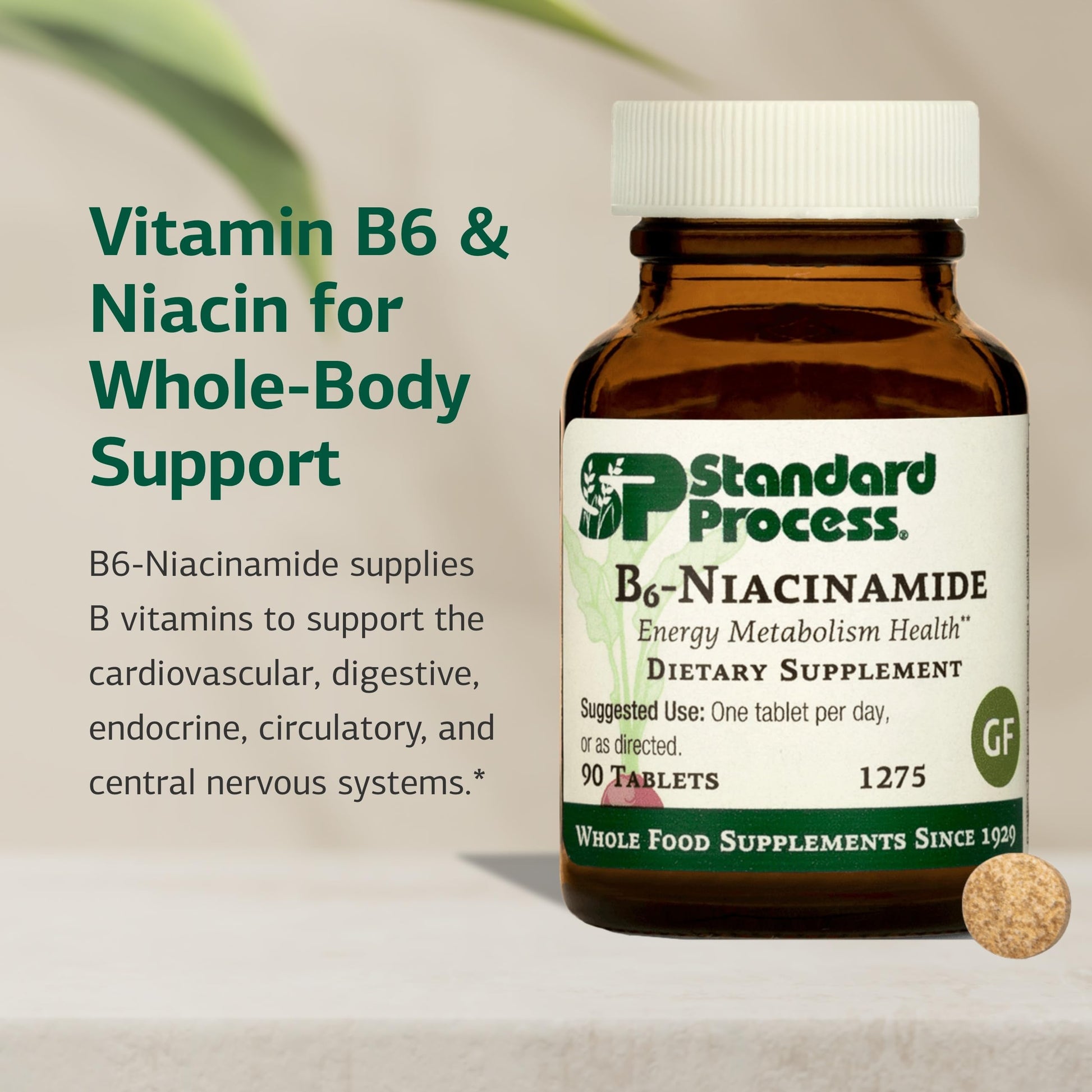 Side view of authentic USA imported Standard Process dietary supplement bottle showing directions for use