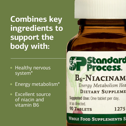 Standard Process B6 Niacinamide whole food supplement bottle highlighting gluten free and non dairy seals