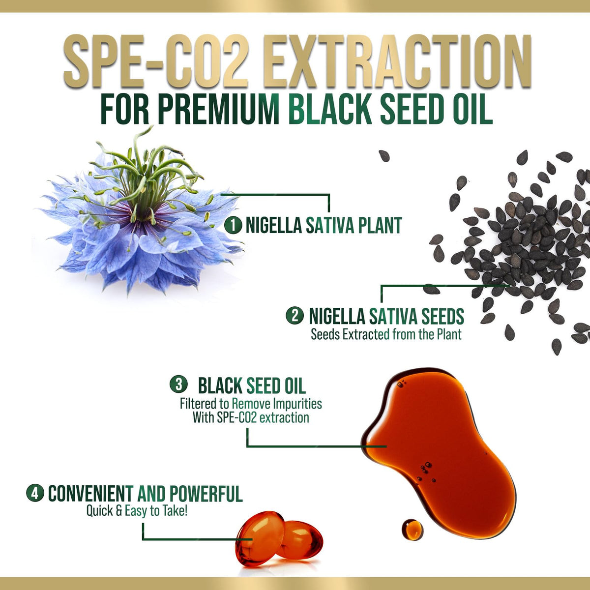 Cold pressed Nigella Sativa softgels capsules showcase