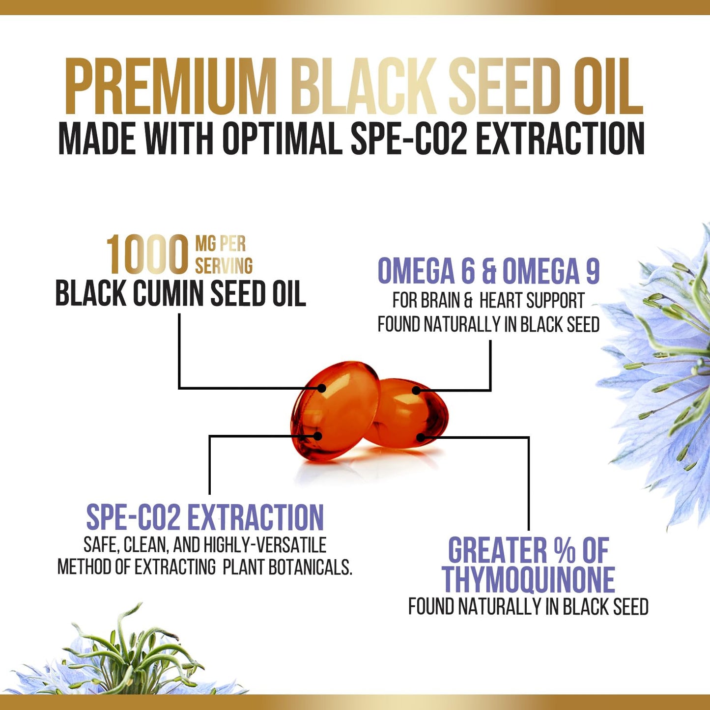 Nature's Nutrition antioxidant rich black cumin seed oil capsules for daily wellness support