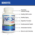 PANMOL NADH and Coenzyme Q10 60 tablets container for mitochondrial and fatigue support