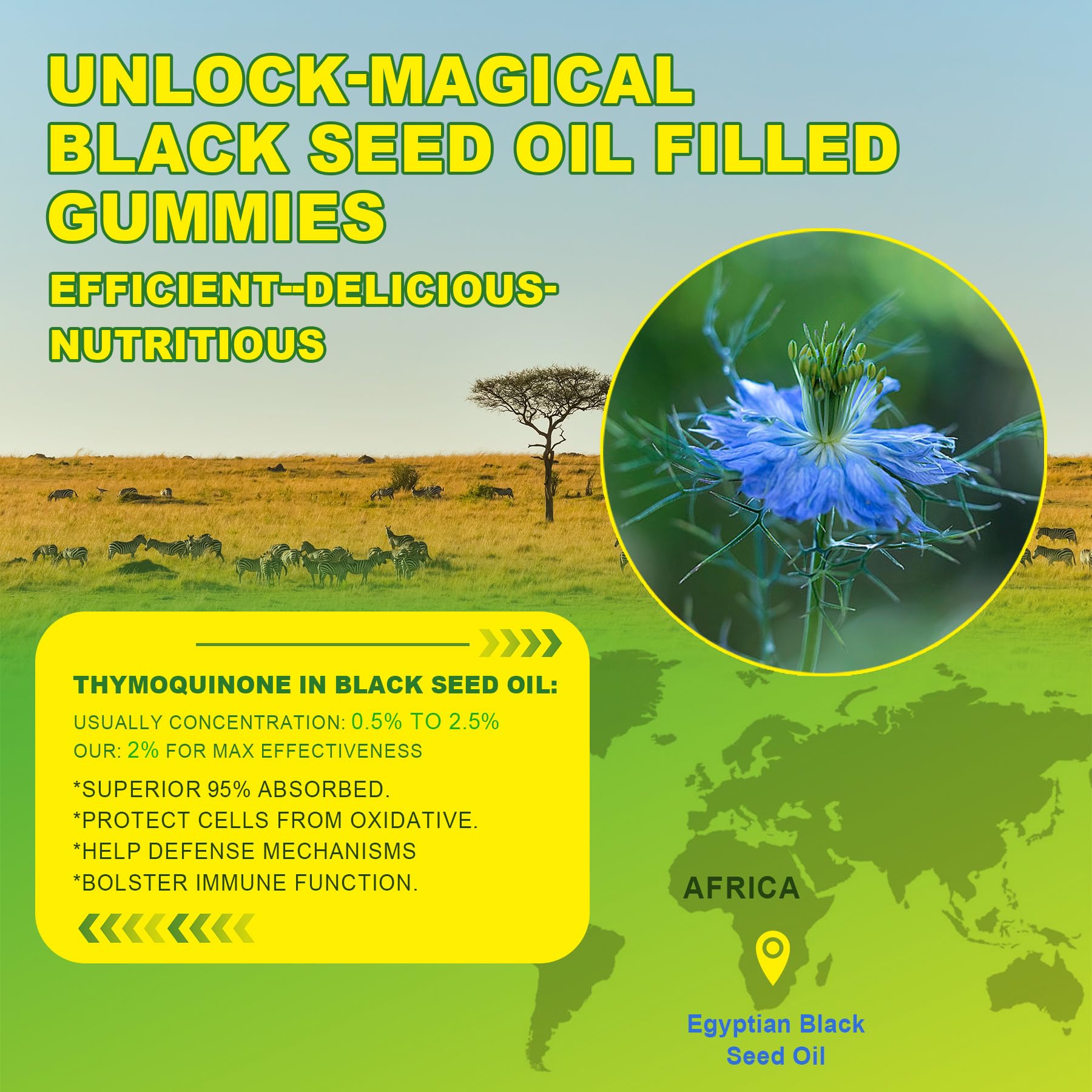 USA imported EnvyCure wellness supplements packaging highlighting thymoquinone content