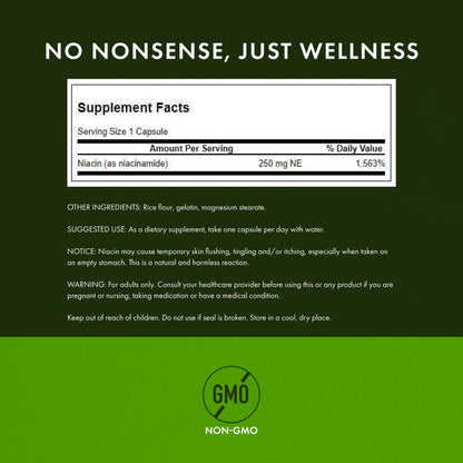 Authentic imported Swanson niacinamide no flush formula capsules