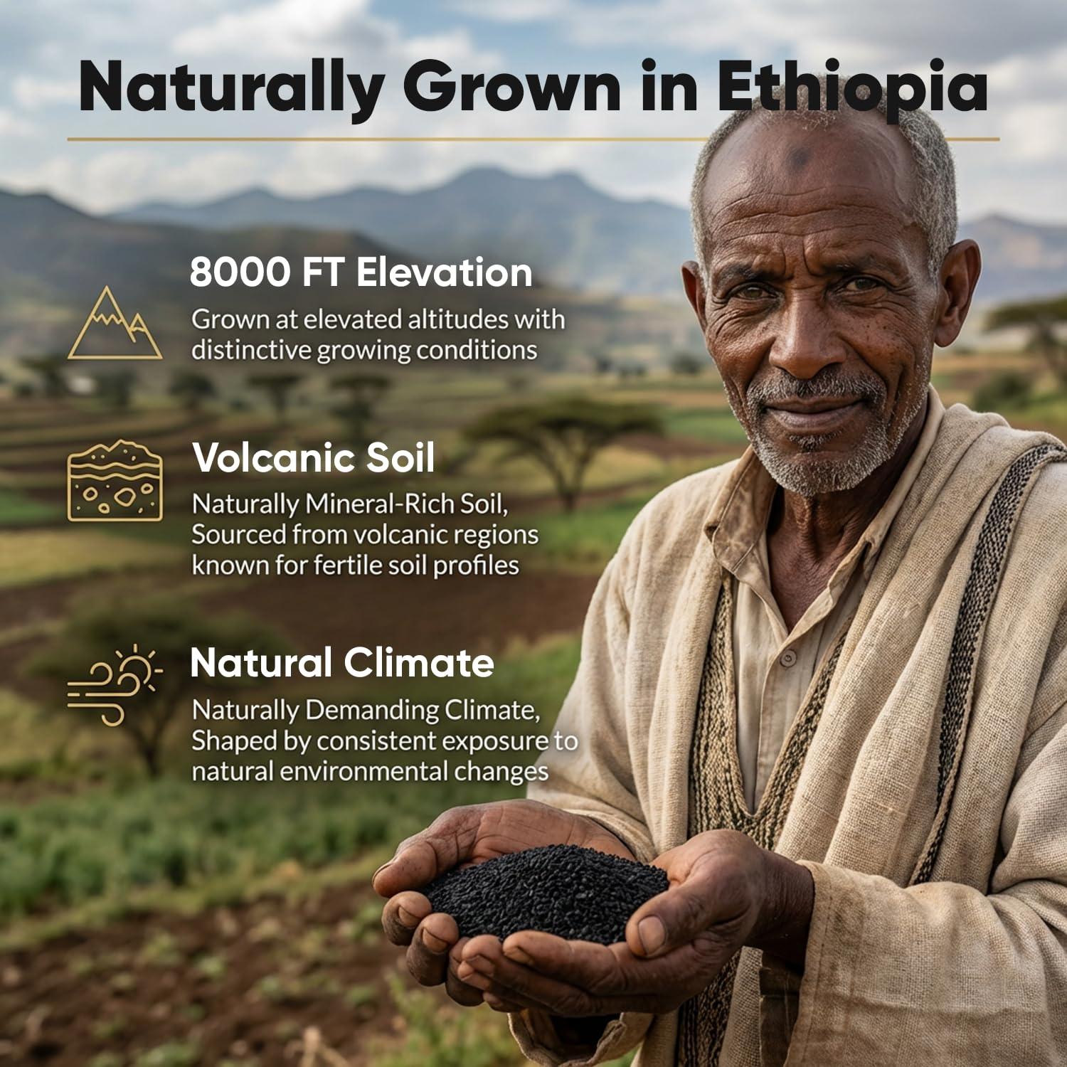 Close up view of the 60 count bottle of Purely Nutrient Ethiopian black seed capsules highlighting digestive health benefits.