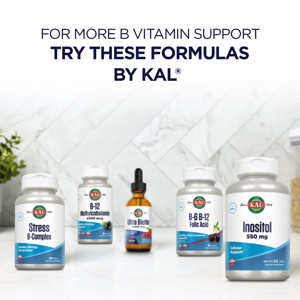 Authentic KAL Vitamin B3 200 tablets packaging for daily health support