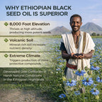 PurelyNutrient Ethiopian black seed oil capsules close up