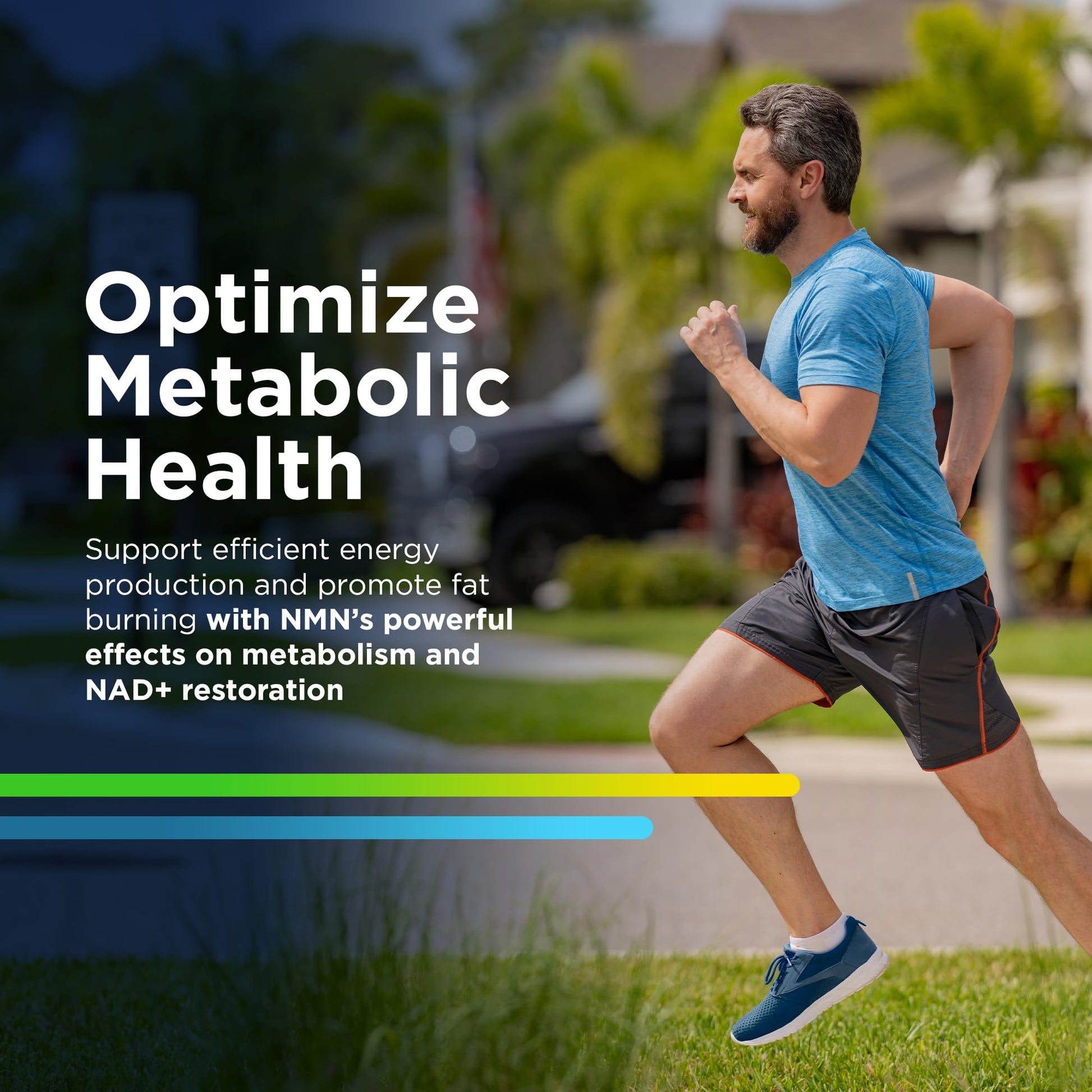 Back label of ProHealth NMN Pro 300 showing supplement facts ingredients and daily usage guidelines