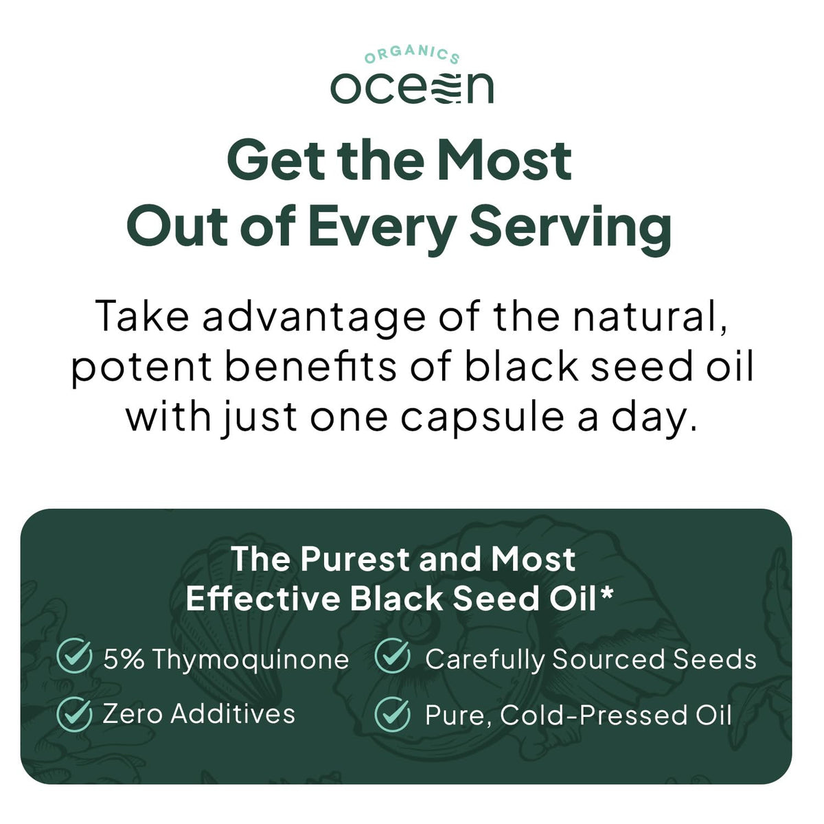 Organics Ocean Better Black Seed Oil bulk supply bottle display