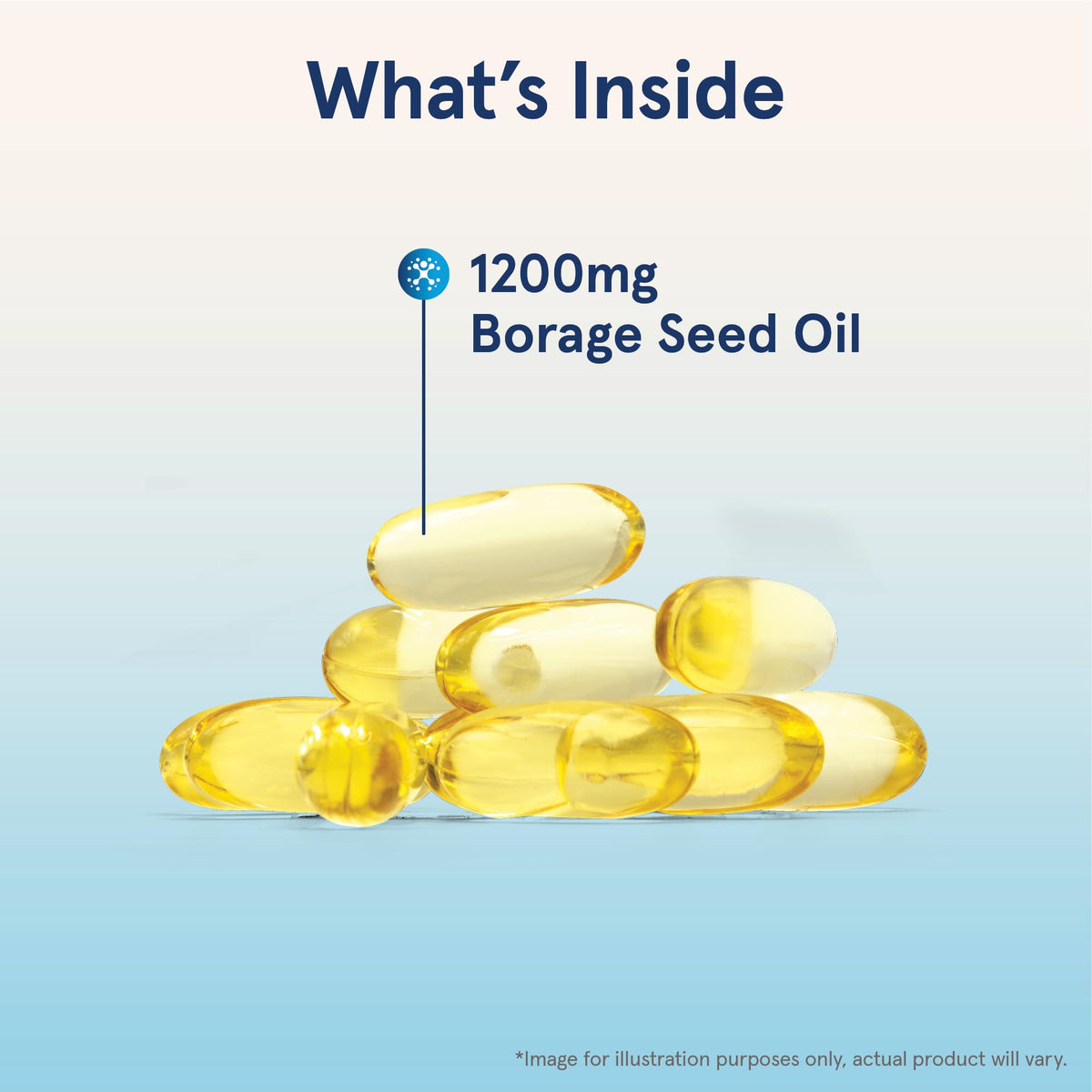 Jarrow Formulas borage oil softgels capsule close up