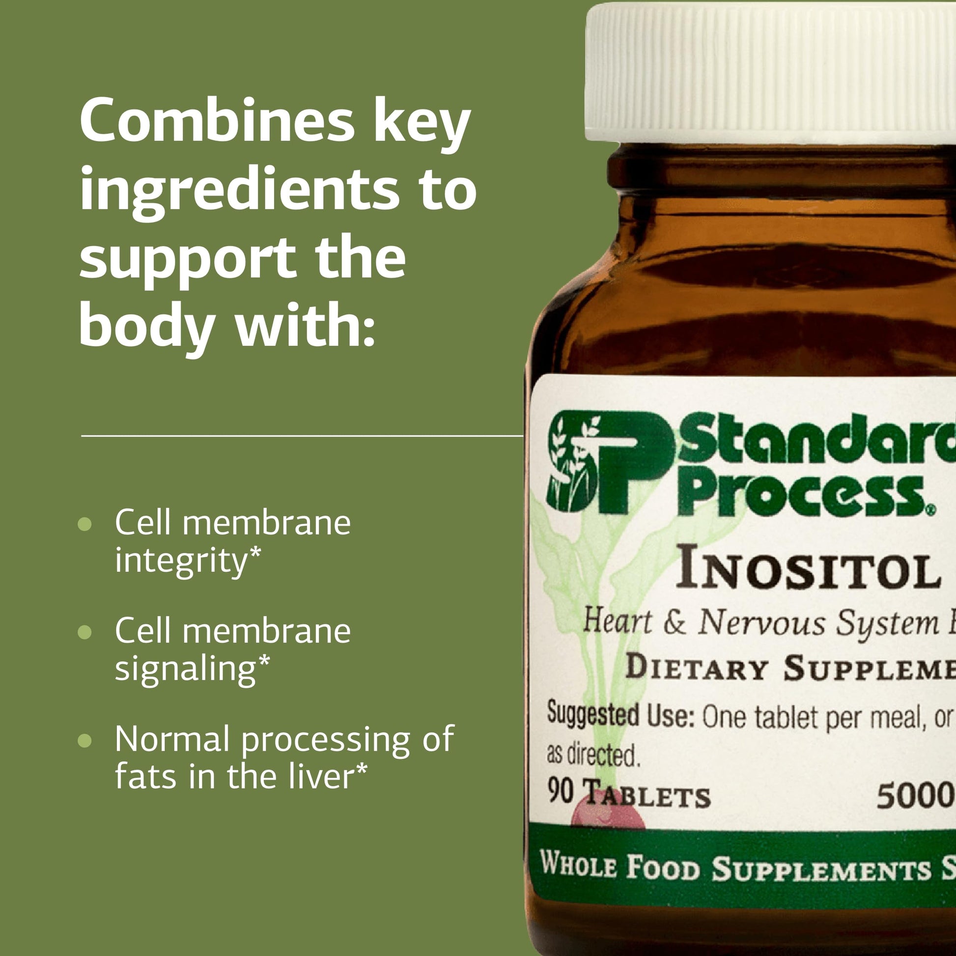 Authentic Standard Process Inositol supplement bottle side profile