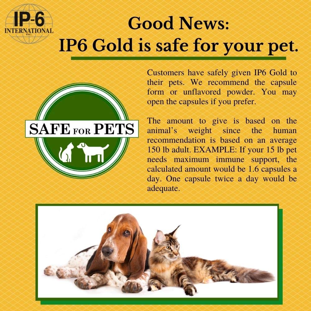Detailed ingredient list on IP6 Gold 308 gram container