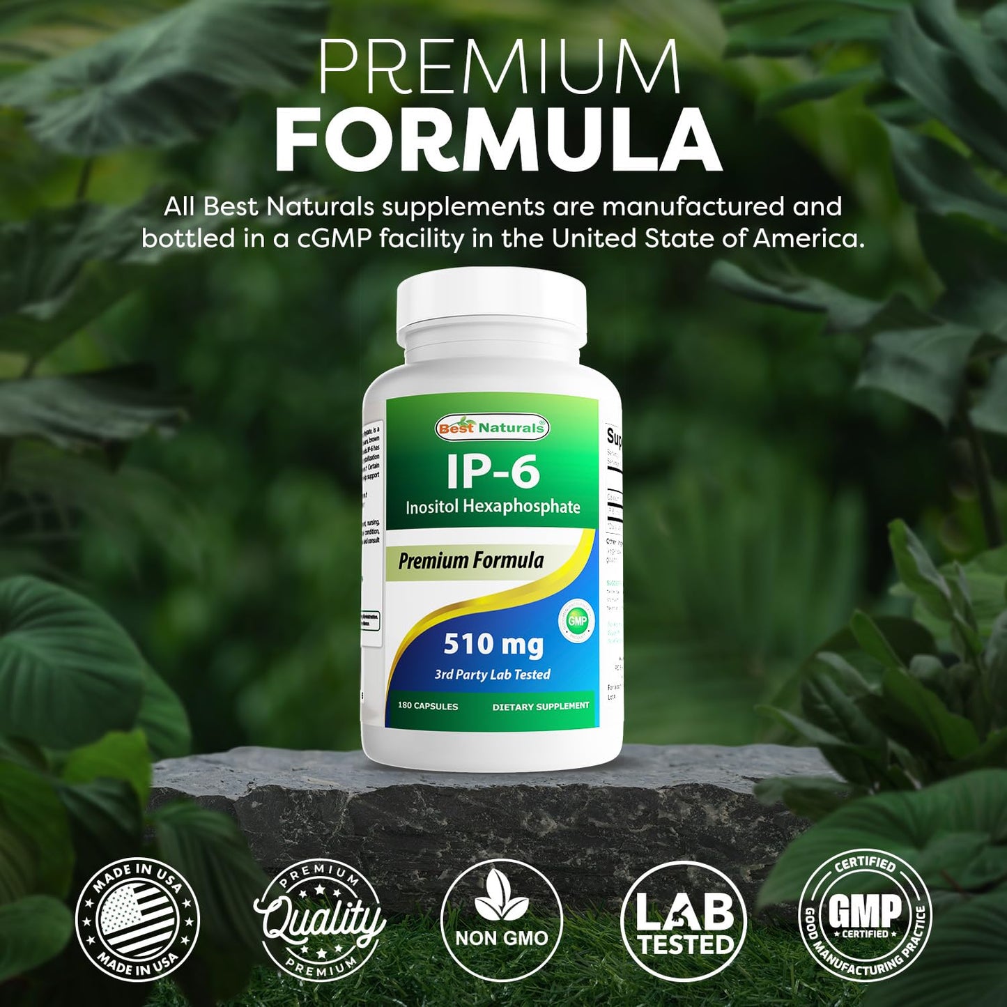 Best Naturals IP-6 dietary supplement nutrition facts